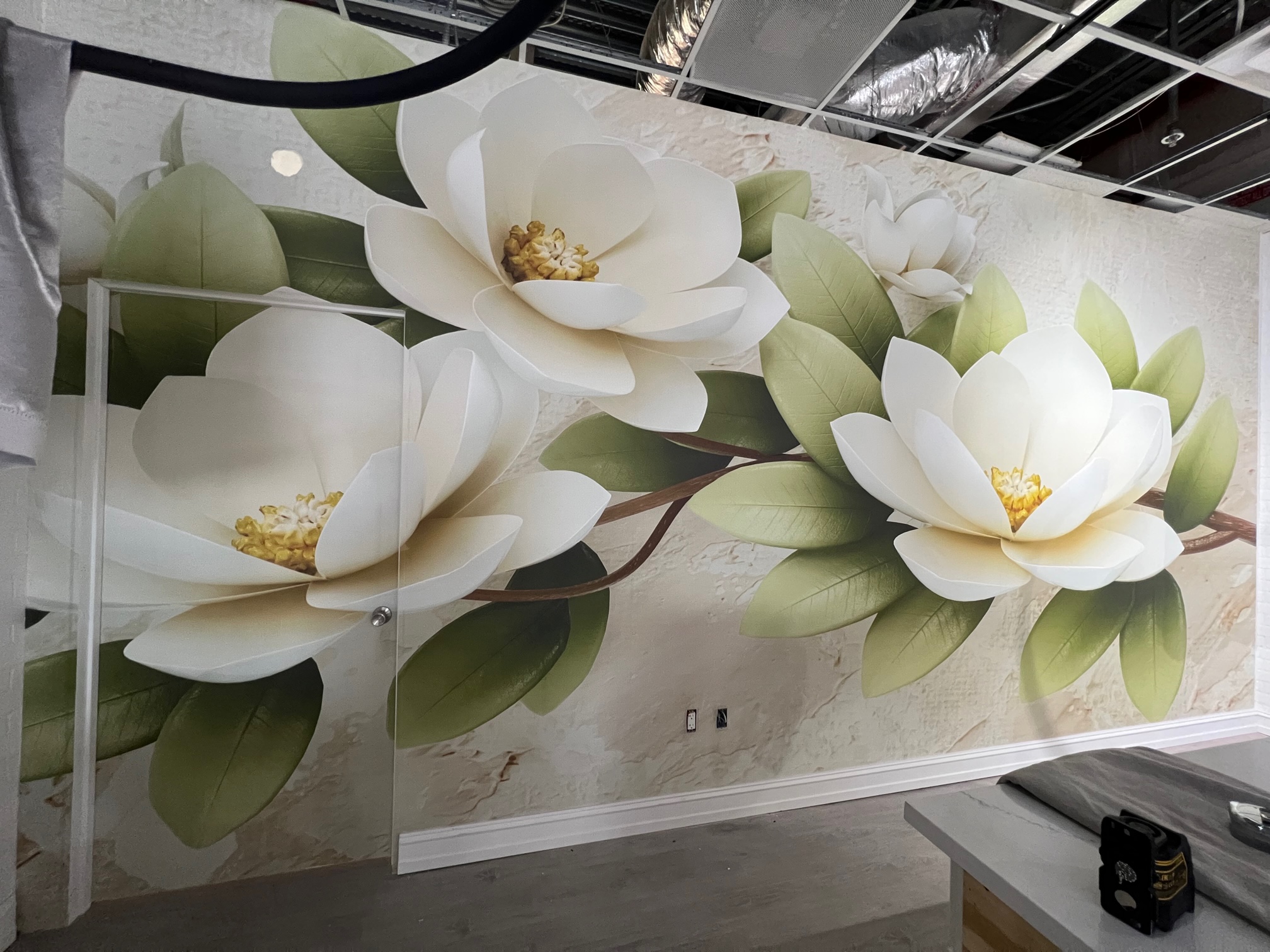Professional Wallpaper Installation
